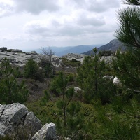 Photo de france - La randonnée du Mont Caroux